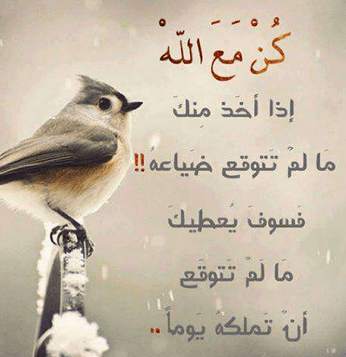 حالات واتس اب حكم 3497